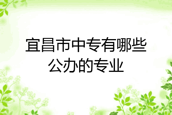宜昌市中专有哪些公办的专业