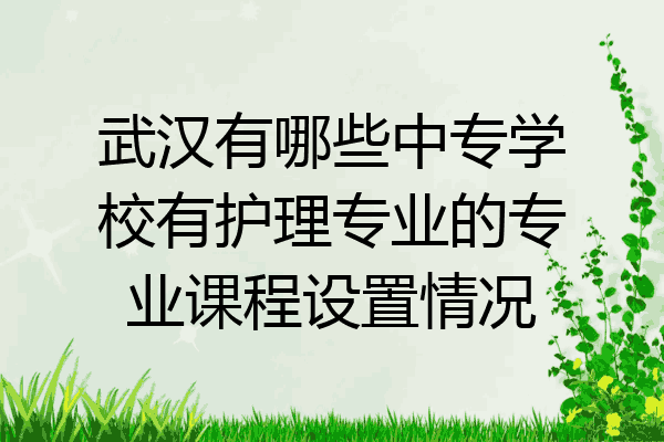 武汉有哪些中专学校有护理专业的专业课程设置情况