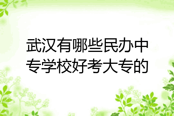 武汉有哪些民办中专学校好考大专的