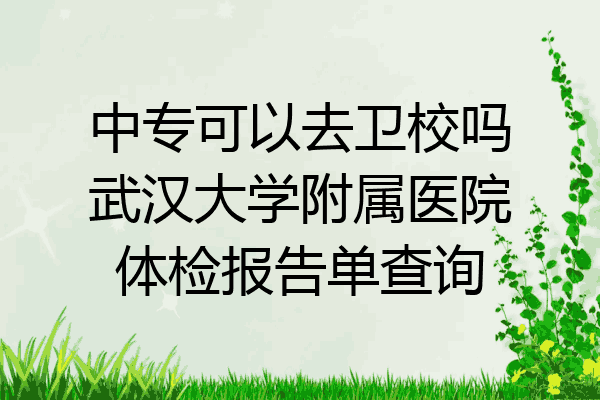 中专可以去卫校吗武汉大学附属医院体检报告单查询