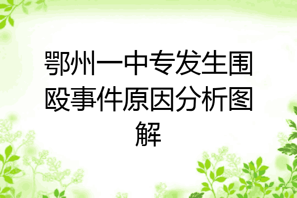 鄂州一中专发生围殴事件原因分析图解