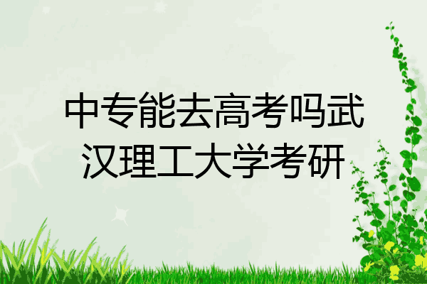 中专能去高考吗武汉理工大学考研