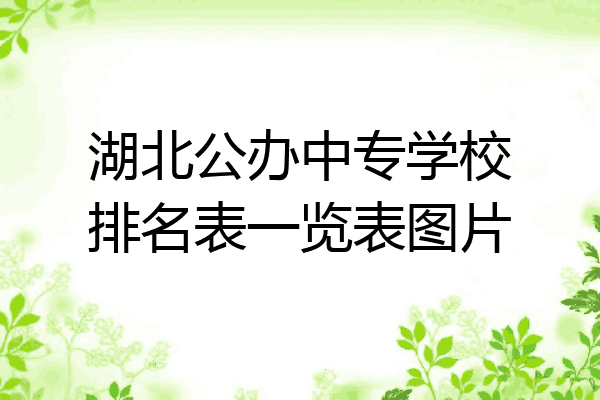 湖北公办中专学校排名表一览表图片