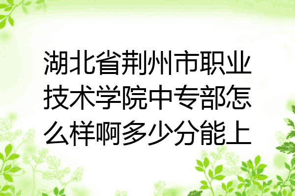湖北省荆州市职业技术学院中专部怎么样啊多少分能上