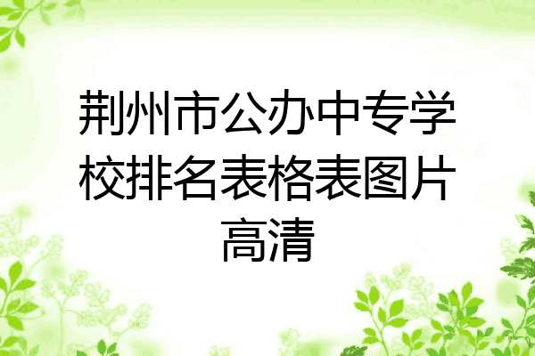 荆州市公办中专学校排名表格表图片高清