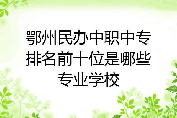 鄂州民办中职中专排名前十位是哪些专业学校