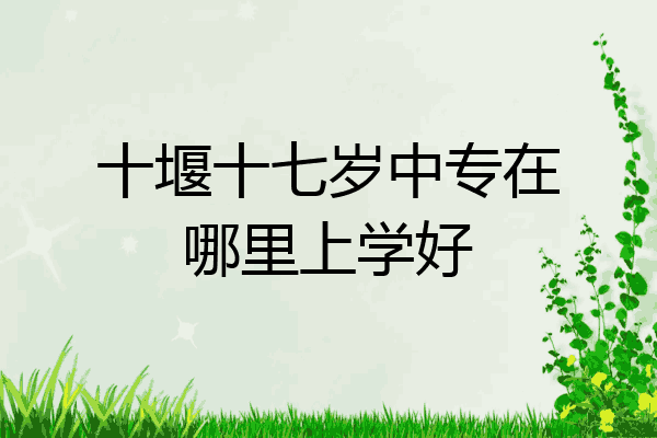 十堰十七岁中专在哪里上学好