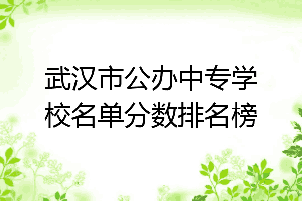 武汉市公办中专学校名单分数排名榜