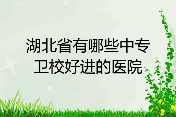 湖北省有哪些中专卫校好进的医院