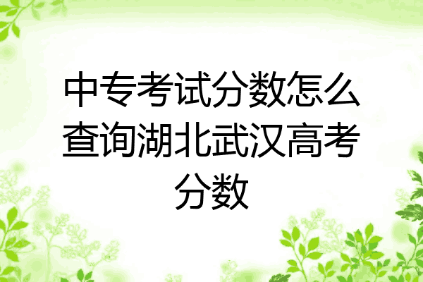 中专考试分数怎么查询湖北武汉高考分数