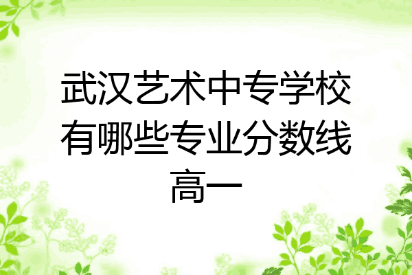 武汉艺术中专学校有哪些专业分数线高一