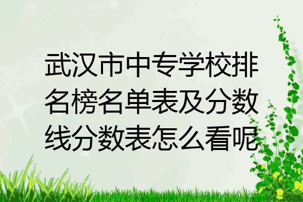 武汉市中专学校排名榜名单表及分数线分数表怎么看呢