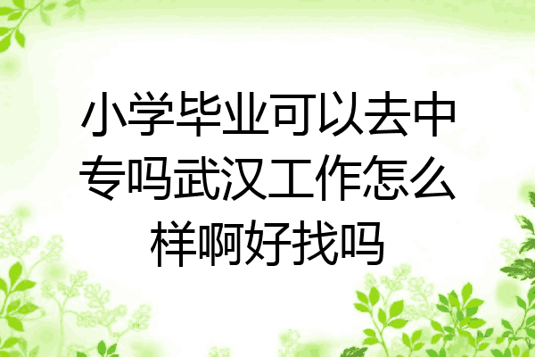 小学毕业可以去中专吗武汉工作怎么样啊好找吗