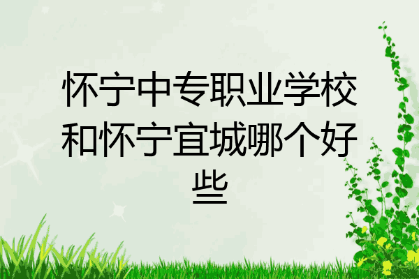 怀宁中专职业学校和怀宁宜城哪个好些