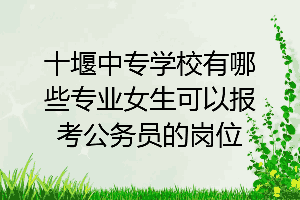 十堰中专学校有哪些专业女生可以报考公务员的岗位