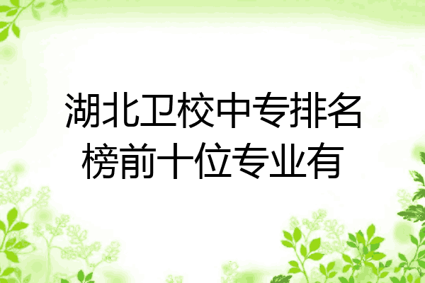 湖北卫校中专排名榜前十位专业有