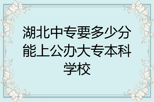 湖北中专要多少分能上公办大专本科学校