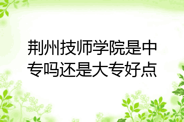 荆州技师学院是中专吗还是大专好点