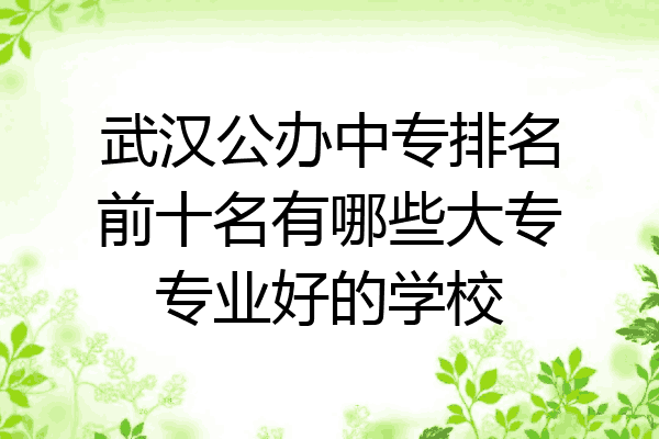 武汉公办中专排名前十名有哪些大专专业好的学校