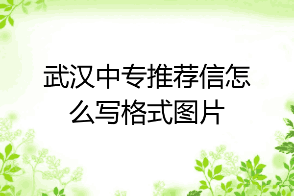 武汉中专推荐信怎么写格式图片