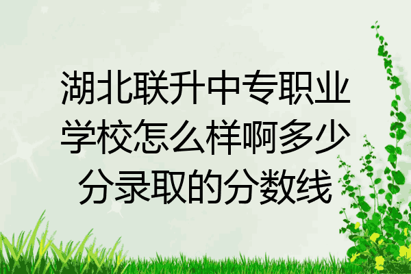 湖北联升中专职业学校怎么样啊多少分录取的分数线