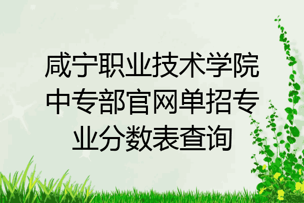 咸宁职业技术学院中专部官网单招专业分数表查询