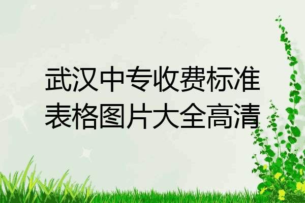 武汉中专收费标准表格图片大全高清