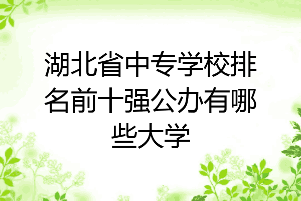 湖北省中专学校排名前十强公办有哪些大学