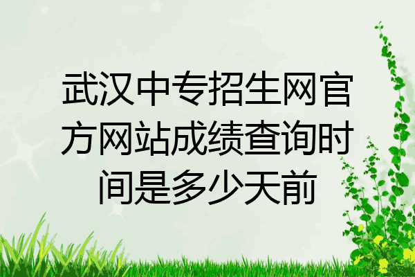 武汉中专招生网官方网站成绩查询时间是多少天前