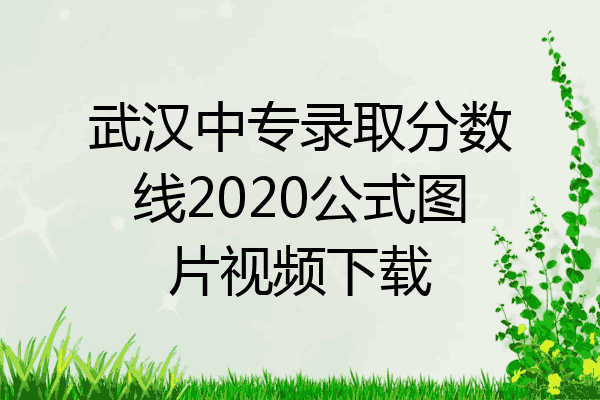 武汉中专录取分数线2020公式图片视频下载