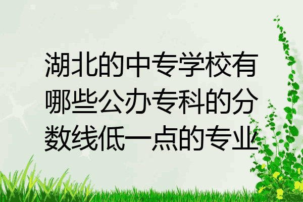 湖北的中专学校有哪些公办专科的分数线低一点的专业