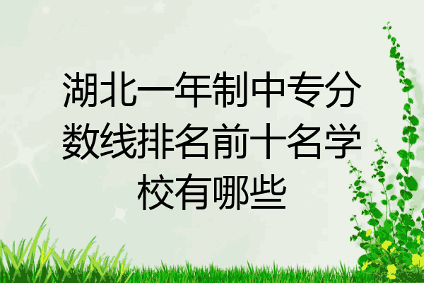 湖北一年制中专分数线排名前十名学校有哪些