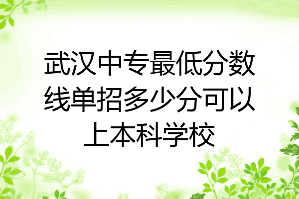 武汉中专最低分数线单招多少分可以上本科学校