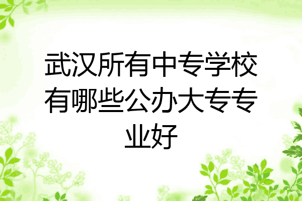 武汉所有中专学校有哪些公办大专专业好