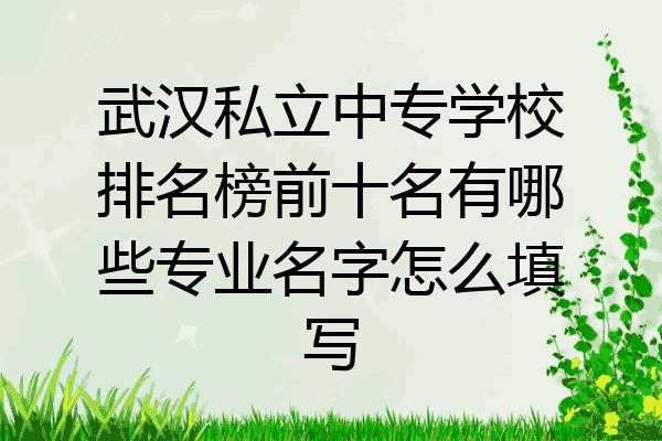 武汉私立中专学校排名榜前十名有哪些专业名字怎么填写