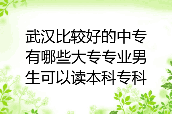 武汉比较好的中专有哪些大专专业男生可以读本科专科