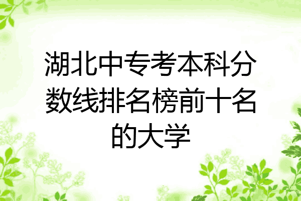 湖北中专考本科分数线排名榜前十名的大学