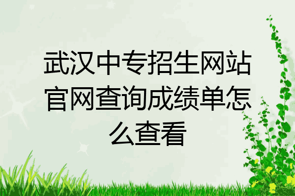 武汉中专招生网站官网查询成绩单怎么查看