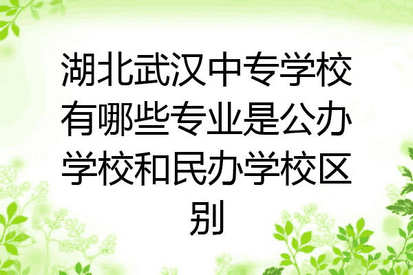 湖北武汉中专学校有哪些专业是公办学校和民办学校区别