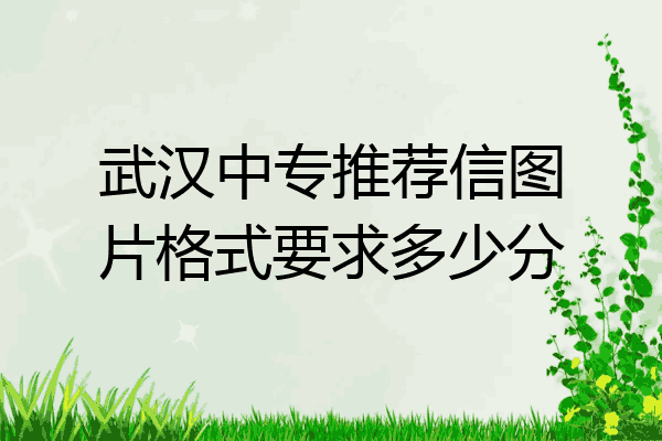 武汉中专推荐信图片格式要求多少分