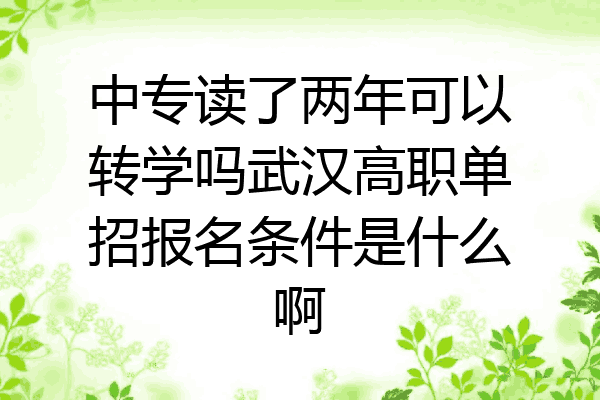 中专读了两年可以转学吗武汉高职单招报名条件是什么啊