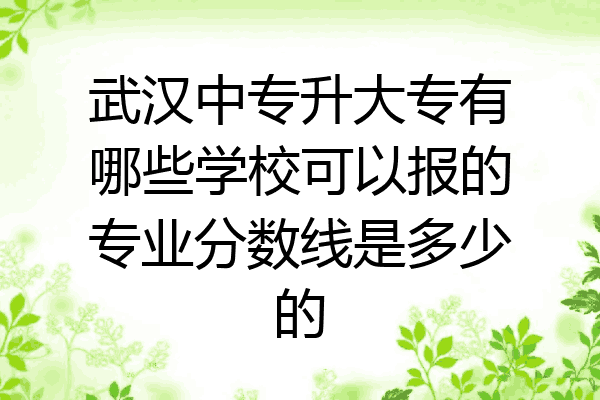 武汉中专升大专有哪些学校可以报的专业分数线是多少的