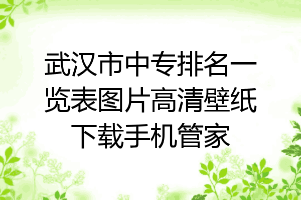 武汉市中专排名一览表图片高清壁纸下载手机管家