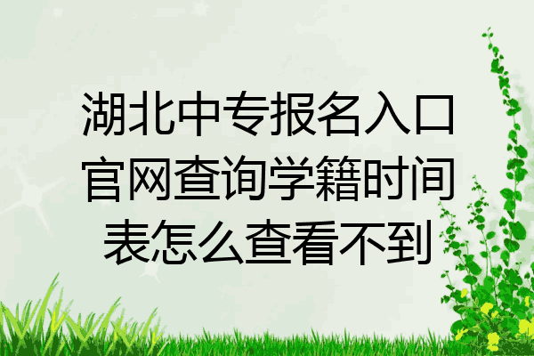 湖北中专报名入口官网查询学籍时间表怎么查看不到