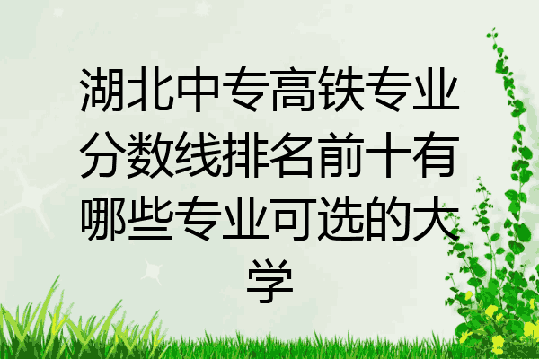 湖北中专高铁专业分数线排名前十有哪些专业可选的大学