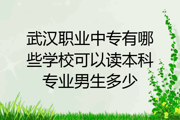 武汉职业中专有哪些学校可以读本科专业男生多少