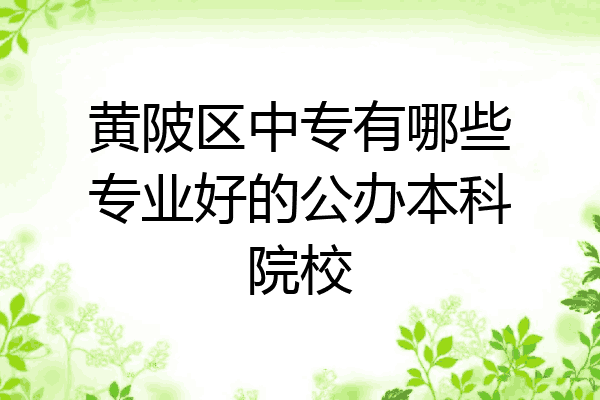 黄陂区中专有哪些专业好的公办本科院校