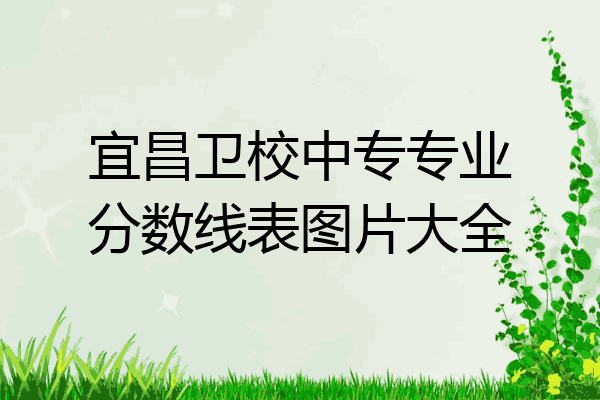 宜昌卫校中专专业分数线表图片大全