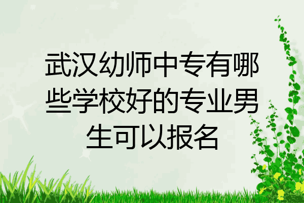 武汉幼师中专有哪些学校好的专业男生可以报名