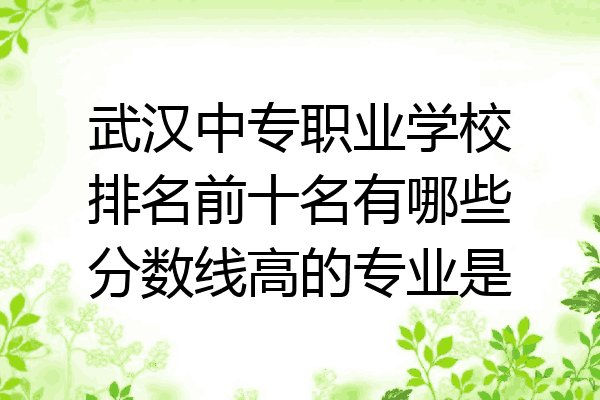 武汉中专职业学校排名前十名有哪些分数线高的专业是